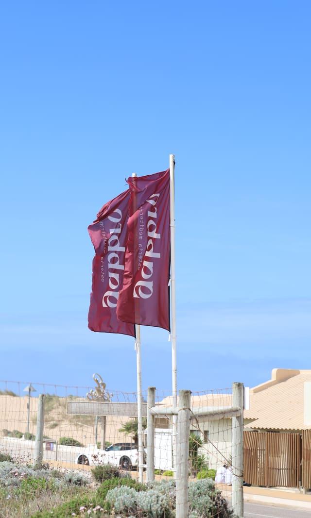House flags flying at the entrance beside the dune